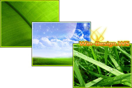 Green Grass Wallpapers